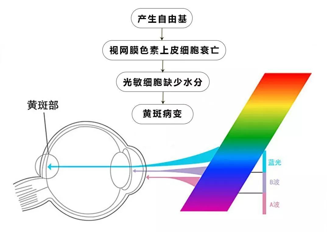 一护眼就说防蓝光，这到底是不是智商税？