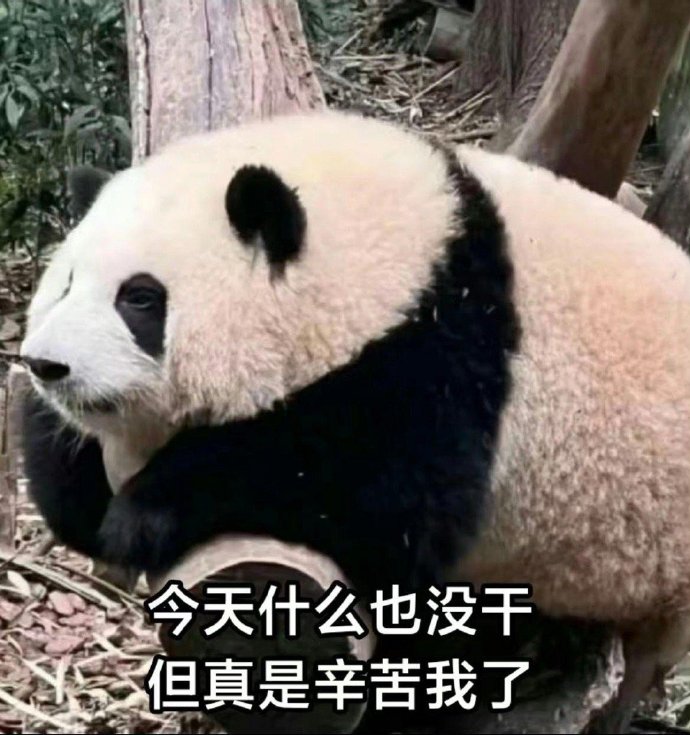 是体虚吗，要睡多久，才能把黑眼圈睡没？